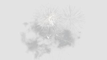 Fototapeta premium White sparkling fireworks display with radiant bursts and subtle smoky clouds