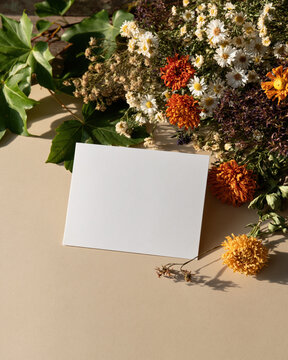 Garden flat lay dried flower green leaf blank card late summer beige background botanical bouquet floral
