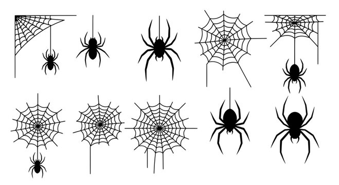 Halloween spider silhouettes and cobweb icons, black arachnid vector set, spooky spider web corner elements for party decor