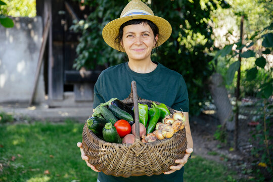Person holding fresh harvest of garden-grown vegetables, including tomatoes, cucumbers, peppers, potatoes, and onions