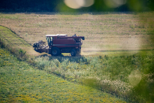  Red rotary combine harvester working on the field.
