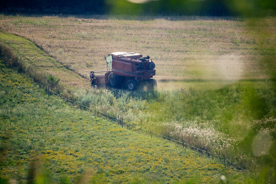  Red rotary combine harvester working on the field.