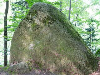 Huge mossy granite boulder standing in green forest landscape background. © fotomaster