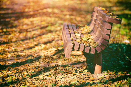 A wooden bench stands in an autumn park

