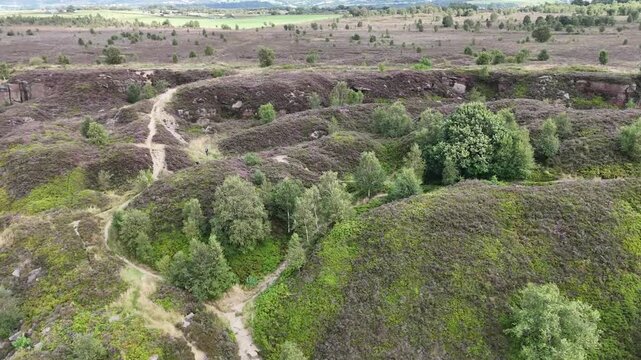 Norland Moor