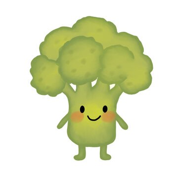 Close-up of fresh organic green broccoli, detail of healthy raw vegetable florets.