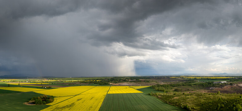 Rapeseed fields under thunderstorm and rain near Udanin