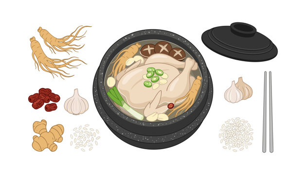 Traditional Korean samgyetang vector illustration set featuring hot ginseng chicken soup in dolsot stone pot raw ginseng roots jujubes garlic ginger glutinous rice and chopsticks on white background