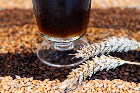 Craft beer. Oktoberfest. Glass of dark beer made with barley and wheat of different varieties.