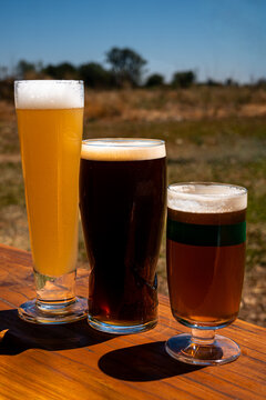 Three glasses with different craft beers and foam. Natural background. Copy space. Oktoberfest