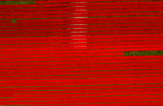 Narsingdi, Dhaka Division, Bangladesh - 19 November 2022: Aerial view of long red fabric strips laid out in parallel rows for drying in an open field.