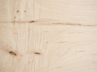 Light birch wood texture background seamless soft beige wooden veneer panel backdrop with fine wavy...