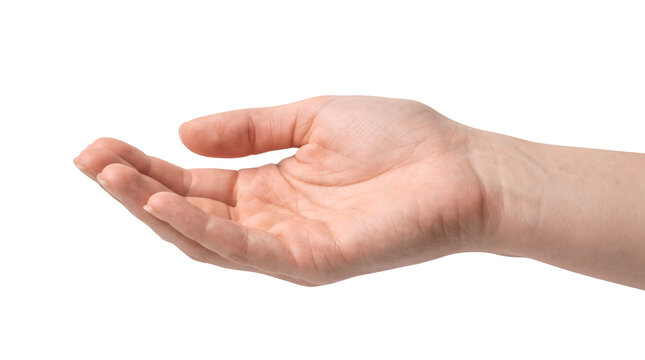 Open human hand palm up isolated on white background with an open human hand