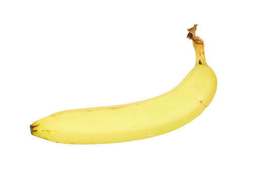 single yellow banana fruit isolated on white or transparent png