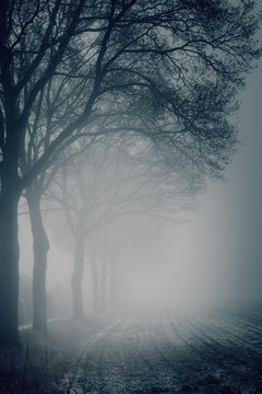 Mysterious & Ethereal