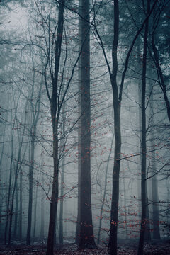 Mysterious & Ethereal