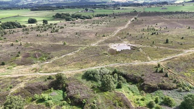 Norland Moor