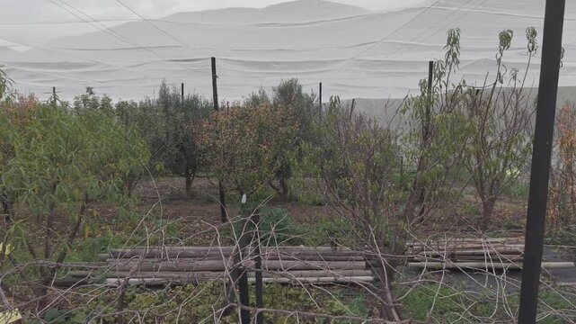 Vegetable Food Forest Grrenhouse in Klein Karoo Western Cape