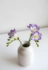Fototapeta premium Freesia flowers in a vase, spring and freshness concept, floral arrangement for home decor and celebration