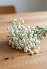 Fototapeta premium Delicate white babys breath flowers on a rustic wooden table, natural beauty and minimalist floral design