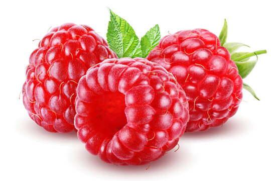Three whole raspberries gathered closely together with leaves between the berries isolated on transparent background.