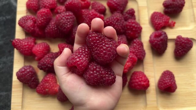 Child holding fresh ripe raspberries above a wooden serving tray, healthy summer fruit, family snack, natural food, berry harvest.