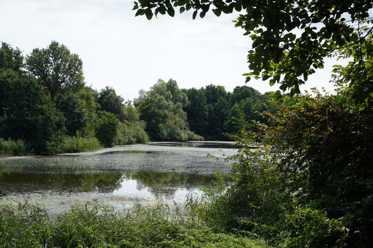 Idyllischer Blick &uuml;ber einen Teich im Naturschutzgebiet Karower Teiche im Sommer