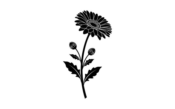 Black silhouette of a gerbera daisy on a white background