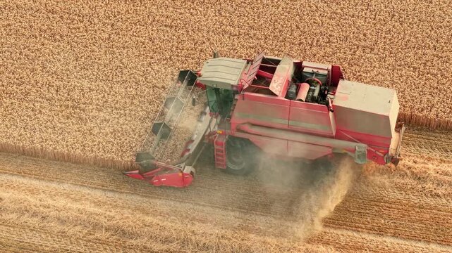 Ripe wheat harvest with powerful combine harvester. Barley field, threshing process, dust plume and straw discharge across cultivated farmland during summer harvest. Precision farming, food production