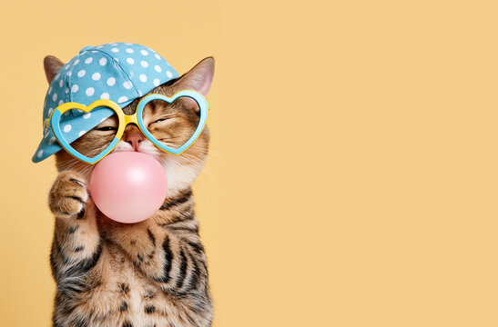 Cute fashionable cat in a cap with heart-shaped glasses blowing bubble gum