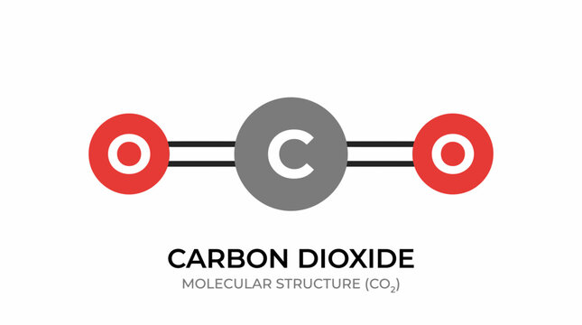 "Vector illustration of the carbon dioxide (CO2) molecular structure showing chemical bonds between carbon and oxygen atoms, with text label, isolated on white background."