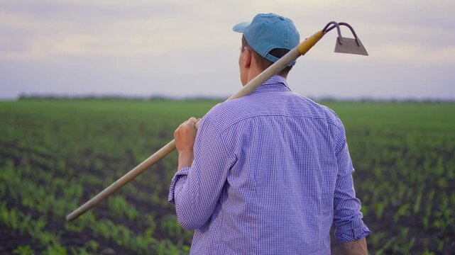 Farmer walks through green field with hoe on shoulder. Man in cap and plaid shirt views young crop rows. Confident farmer inspects seedlings in soil. Agriculture work continues at dusk.