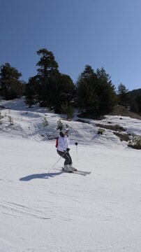 Experienced female skier gracefully descending a snowy mountain slope at ski resort. Skier enjoying a winter sport activity on bright, sunny day with a clear blue sky and pine trees. Following skier