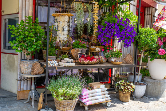 Charming Flower Shop Entrance with Potted Plants, Purple Petunias and Decorative Shell Wind Chimes. Lavender tree sale