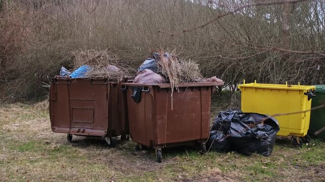 Overflowing Brown Garden Waste Dumpster Filled with Tree Branches from Yard Trimming and Garbage Bags in Residential Neighborhood on Autumnal Cleanup