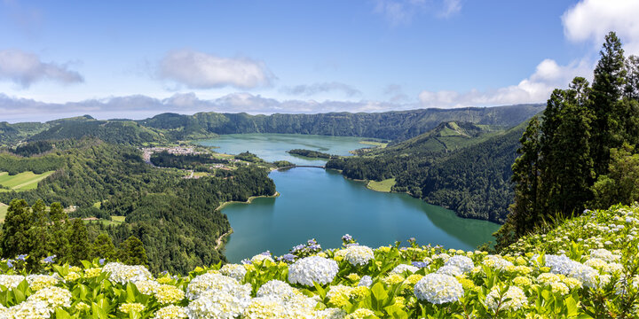 Azores view of Sete Cidades with Hydrangeas flowers landscape nature panorama on Sao Miguel island volcanic lake in Portugal