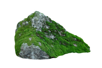 Large mossy rock boulder isolated on white background © Svitlana