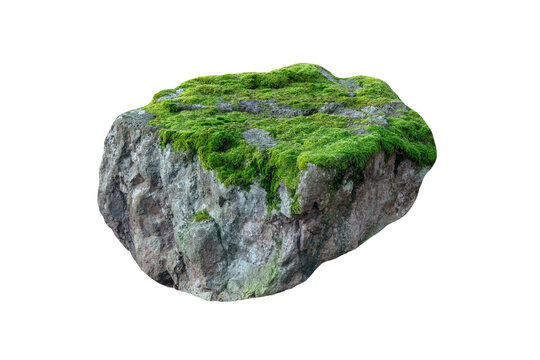 Large mossy rock boulder isolated on white background