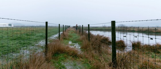 Obraz premium Rural fence dividing wetland and pasture