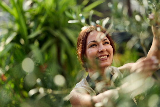 Smiling Woman Gardener Tending Greenhouse Plants With Care and Joyful Urban Gardening Lifestyle