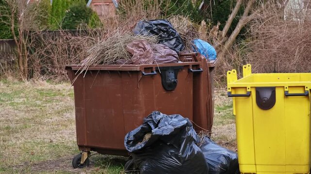 Overflowing Brown Garden Waste Dumpster Filled with Tree Branches from Yard Trimming and Garbage Bags in Residential Neighborhood on Autumnal Cleanup