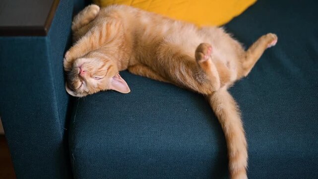 An orange cat lies comfortably on a couch with a yellow pillow. The cat is positioned on its back, with the pupils of his eyes rolled back in a funny way.
