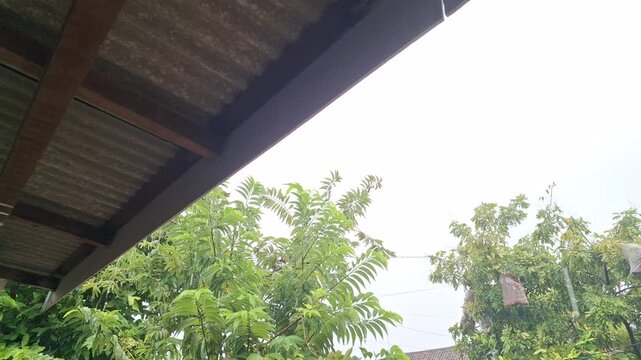gentle rain falling from a rustic roof edge, overlooking lush green trees swaying softly in the background.