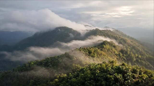 Tropical Landscape Timelapse Background, Cinematic Mountain Ridge, Rainforest Mist and Rolling Cloud Layers Creating Serene Natural Travel Environment Scene for Nature Media Content
