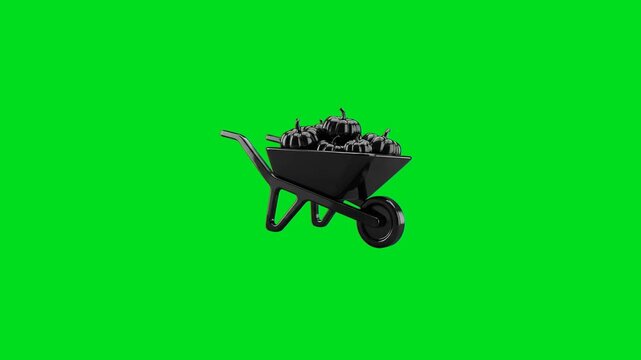 Black wheelbarrow filled with dark pumpkins isolated on green background