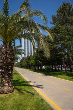 Batumi promenade featuring a cycle path running parallel to green parkland and a modern skyscraper under a clear blue sky, offering a sunny outdoor leisure space by the black sea. Vertical photo