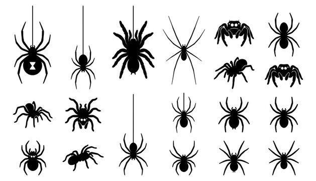 Spider Silhouette Icon Set with Black Widow tarantula Hanging Webs and Creepy Arachnid Symbols for Halloween Party Decor Graphic and Web Designs