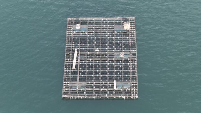 Aerial footage shows a traditional mussel farming raft floating on calm blue waters off the coast of Combarro, Galicia, Spain.