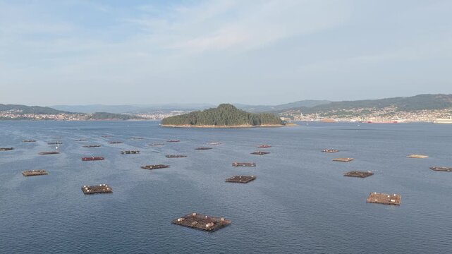 Wide aerial footage of Illa de Tambo island surrounded by numerous mussel farming platforms in the calm blue waters off Combarro, Galicia, Spain.