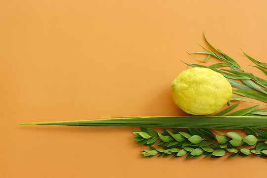 Jewish festival of Sukkot. Traditional symbols (The four species): Etrog (citron), lulav (palm branch), hadas (myrtle), arava (willow)